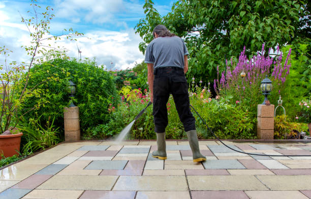 Best Concrete Surface Cleaning in Johnstonville, CA