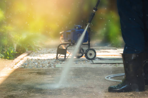 Best Roof Cleaning and Mildew Removal in Johnstonville, CA
